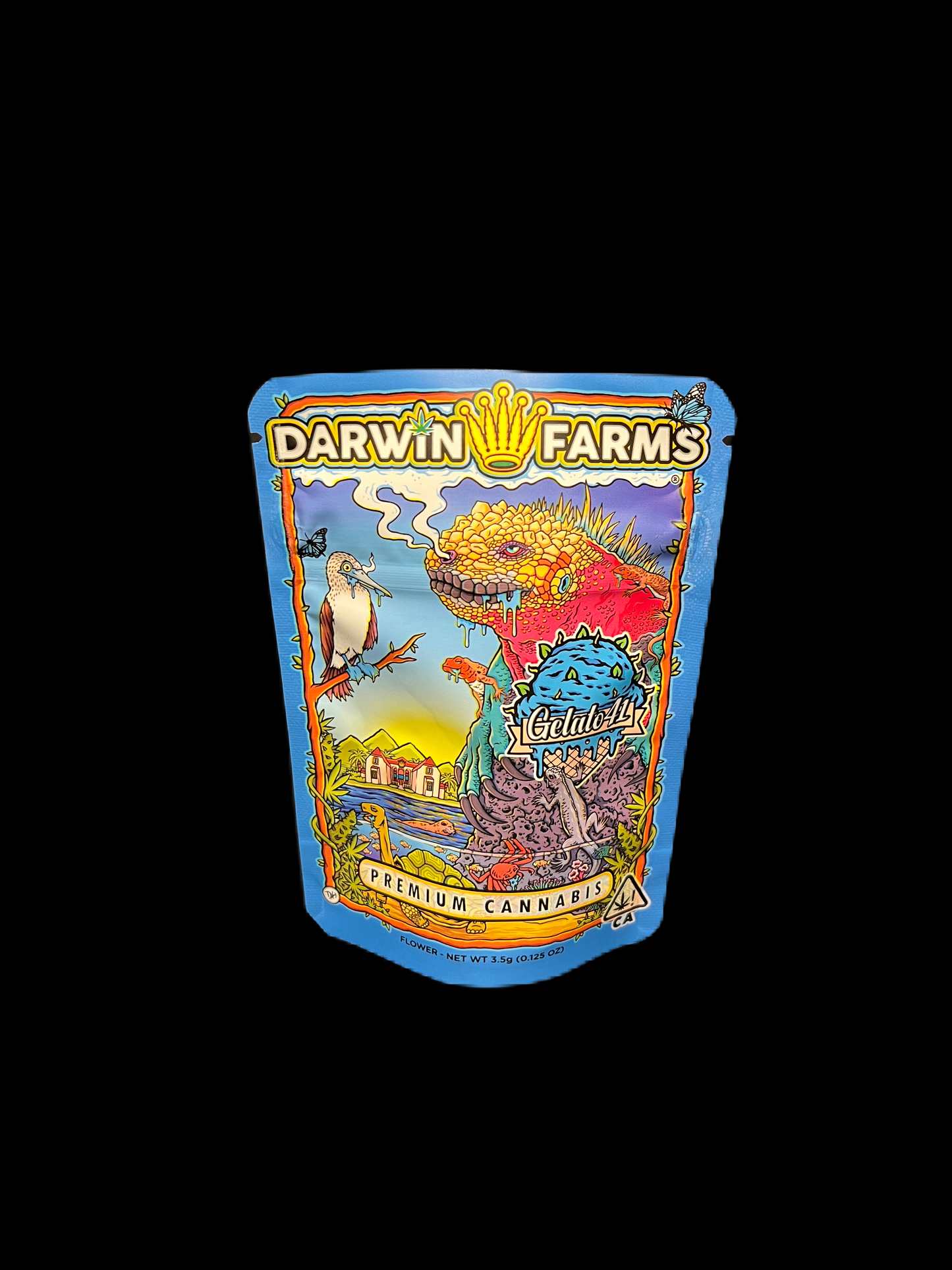 Darwin Farms Gelato 41 Calibags 3,5g